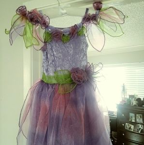 Girls Fairy Costume/Dress up
